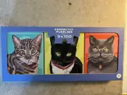 3 Pack Cat Kitten Puzzle Box Set "Perfectly Puzzling" 3x100 Table Fun B5