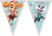 Spin Master PAW Patrol Skye & Everest 10067629 PR90279 Flag Banner, Green
