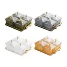 Divided Serving Dishes, 4 Compartments Food Storage Box, Decorative Dried Fruit