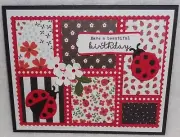 Stampin Up! Card Kit LADYBUG Postage Collage Happy Birthday Floral Springtime