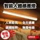 磁吸感應燈 人體 LED 燈條 露營燈 USB充電 LED感應燈 小夜燈 走廊燈 櫥櫃燈 氛圍燈 展示燈 床頭燈 白光