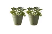 2x Northcote Pottery Leonard 25x23cm Self Watering Plant Pot Garden Decor Green