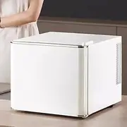 PP-Kic Business Professional Mini Refrigerator, Cosmetics Freezer, Office Convenient Freezer, Energy-Saving Beauty Icebox, 17L Large Capacity, Meet Your Various Refrigeration Needs