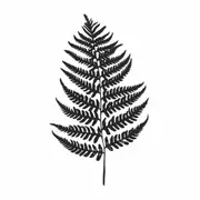 Fern Leaf Canvas Print