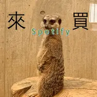 在飛比找蝦皮購物優惠-Spotify Premium 會員 最低一個月只要40元！