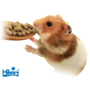Hikari 高夠力 倉鼠飼料 400g 適用於倉鼠 黃金鼠 三線鼠 寵物鼠 鼠飼料 鼠零食 添加優質益生菌