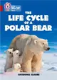 The Life Cycle of a Polar Bear：Band 14/Ruby