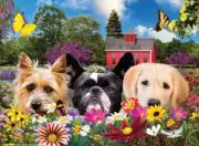 SunsOut Peek-A-Boo 500 Piece Jigsaw Puzzle By Karen Burke