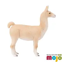 在飛比找momo購物網優惠-【Mojo Fun】羊駝