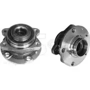 GSP Wheel Hub Assembly - 400196K