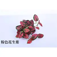 在飛比找蝦皮購物優惠-粉色花生葉 花草牆 仿真植物牆 永生花 塑膠花草 人工花草 