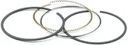 [Briggs & Stratton] 795690 DTF Ring Set Replaces 795132/790909