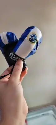 EL SALVADOR flag Mini Boxing Gloves for Car Truck Bus Jeep SUV RV Decor RearView
