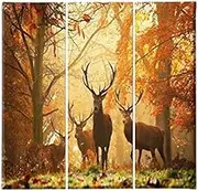 Homemania HM203PKNV-193 3 Piece Wall Art Animals Living Room Bedroom Multicolor Polyester Wood 69x3x50cm