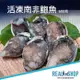 【RealShop 真食材本舖】活凍南非鮑魚 600gx2包組共1200g(高檔食材)