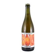 Future Mountain Constant State Saison 750ml Bottle