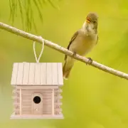 Wood Bird House Bluebird House Wooden Bird Hut for Balcony Tree Window