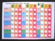Behaviour Record & Target Motivational Full Week Chart - ADHD Autism SEN Visual