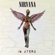 LP-NIRVANA-IN UTERO-DLX EDITION -3LP- NEW VINYL