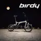 Birdy Limited Standard Disc 9SP /18吋/9速〔電鍍銀〕