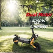 Foldable Off-Road Electric Scooter 4000W 80KM/H 70KM Range Adult 11" Tyre