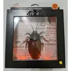 HALLOWEEN RARE GEMMY ANIMATED ROACH COCKROACH IN FRAME LIGHT-UP SOUND NEW