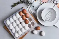 在飛比找Yahoo!奇摩拍賣優惠-簡單樂活 BI-5991 真鮮蛋盒 雞蛋盒 保鮮盒 24個雞
