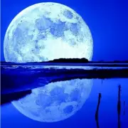 MOON LAKE MUSK Fragrance Oil for making Candles, Soaps, Wax Melts etc.