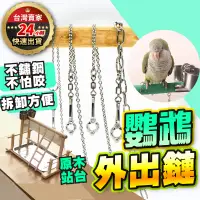 在飛比找蝦皮購物優惠-【臺灣現貨 免運費】鸚鵡玩具 不鏽鋼腳鍊 不鏽鋼鐵鏈 寵物鳥