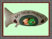 Memorial Photo Pillow Fish Shape Childrens Loss of Pet Picture Frame Cat Fish