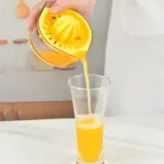 Detachable Lemon Squeezer Fruit Residue Separator Orange