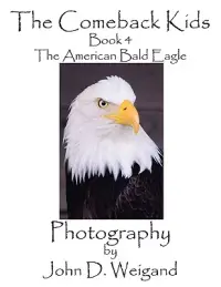 在飛比找博客來優惠-The American Bald Eagle