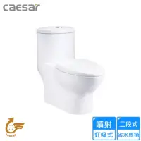 在飛比找momo購物網優惠-【CAESAR 凱撒衛浴】二段式省水單體馬桶/管距40(CF