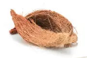 Coconut Husk Fiber Pure Organic Coco Coir Growing Anthurium Orchids Natural New