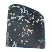 57.6g SERICHO Pallasite Olive Meteorite Slices TA304