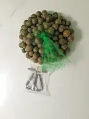 1KG Raw Macadamia Nuts in Shell Australian Grown Organic