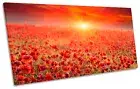 Sunset Poppy Field Landscape PANORAMA BOX FRAME CANVAS ART Print