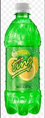 Ting Jamaican Grapefruit Soda 20 oz