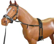 Horse Training Lunge Kit 6 Piece One Size Fits All