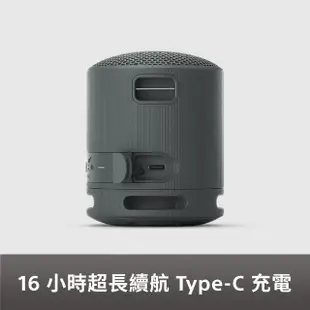 【SONY 索尼】可攜式無線藍牙喇叭 SRS-XB100(公司貨 保固12個月)