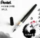 Pentel 飛龍 XFL2L卡式毛筆 (中楷)