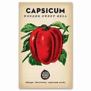 The Little Veggie Patch Co Capsicum Seeds