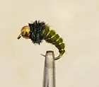 BH CADDIS PUPA LARVA NYMPH TROUT FLY FISHING FLIES OLIVE -12 FLIES X SIZE #14