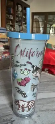California Theme Insulated Tumbler With Straw 24 Oz Double Wall Plastic Leak-Pro