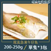 在飛比找PChome24h購物優惠-【北海漁鋪】現流急凍午仔魚 200-250g*3包