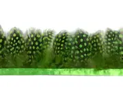1 Yard - Chartreuse Green Guinea Hen Plumage Feather Trim Halloween Costume