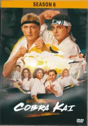 Cobra Kai Complete series Season (6, Part 1,2,3 ) ,all 15 episodes Slip case