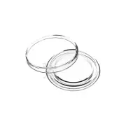 OnFireGuy 250pcs 21.2mm Direct Fit A21 US Nickel Coin Capsule Holders