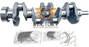 for Isuzu Forklift 4JJ1T 4JJ1 4JJ1X crankshaft + Main conrod Bearing Set