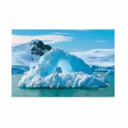 Wild Encounters Vbs Arctic Backdrop, Party Decor, 3 Pieces